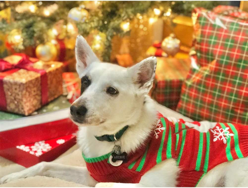 Cozy Snowman Holiday Sweater for Small Dogs and Cats - Perfect for Christmas and New Year Celebrations!