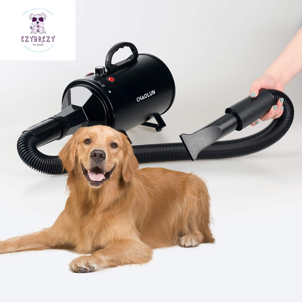 High Velocity Professional Dog Dryer with Heater - Fast & Adjustable Pet Blow Dryer in Sleek Black