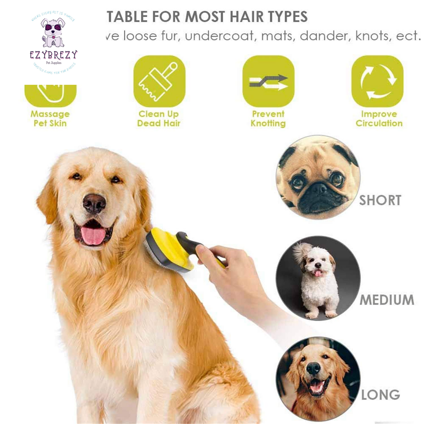 Revolutionary Self-Cleaning Slicker Brush for Dogs and Cats - Ideal for All Fur Types and Shedding Control!